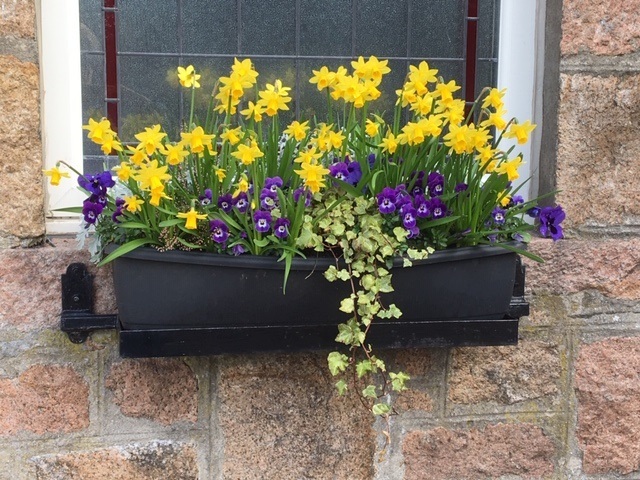 Craigellachie Church Spring 2019